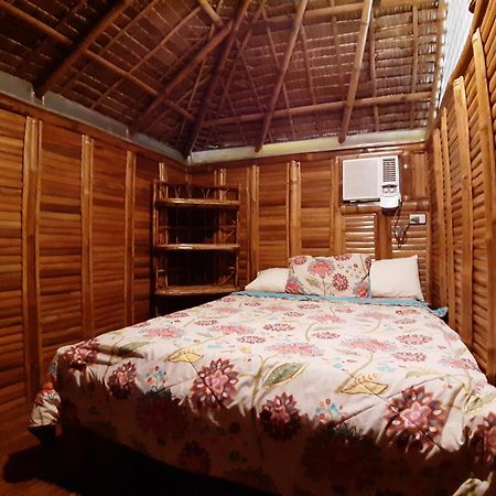 Dang Maria Bed And Breakfast Puerto Princesa Extérieur photo